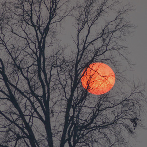 久久精品人成免费
