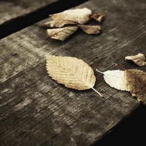 久久精品人成免费
