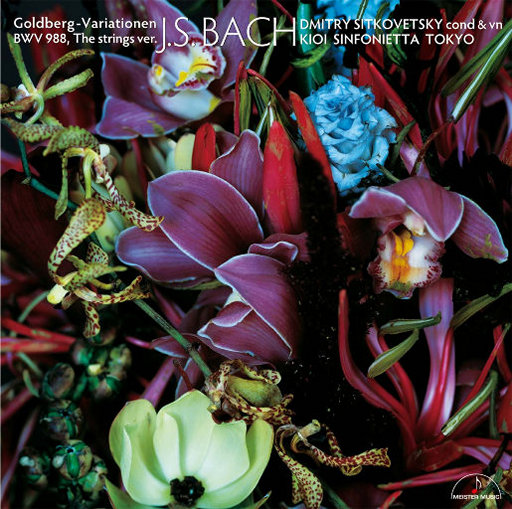 久久精品人成免费
